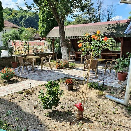 Стаи За Гости Тони Ribaritsa Exterior foto