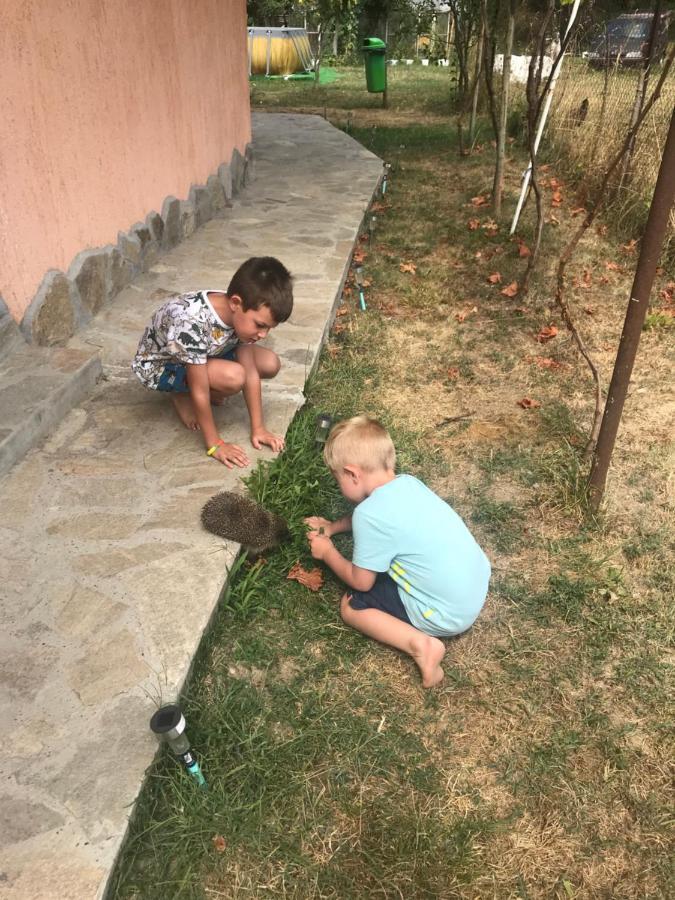 Стаи За Гости Тони Ribaritsa Exterior foto